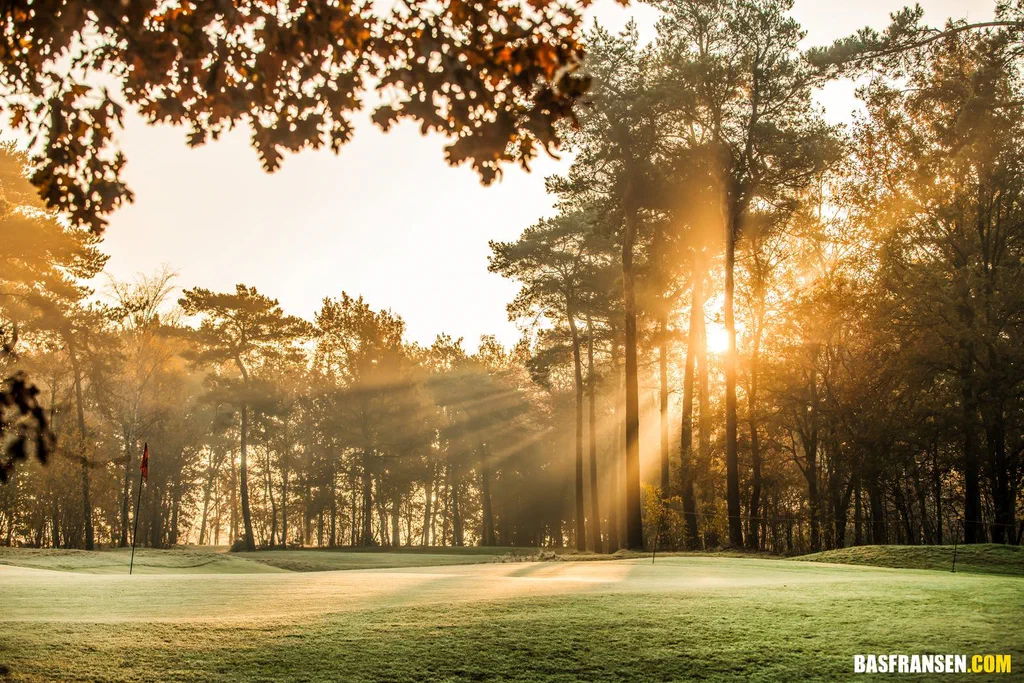 Golfbaan de Golfhorst