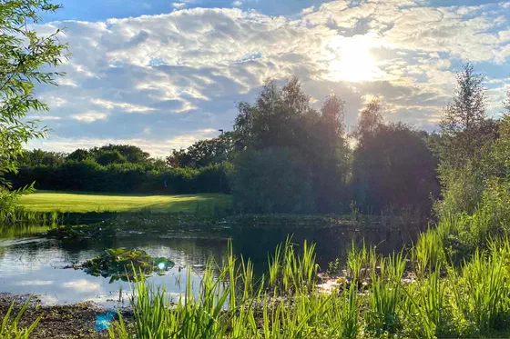 Green Fee Netherlands