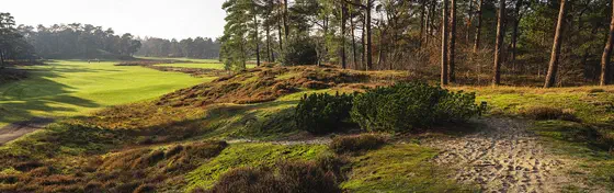 Golf Courses