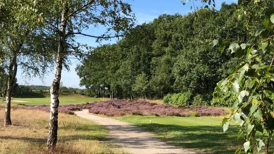 Golf Courses