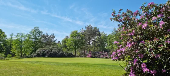 Golf Courses