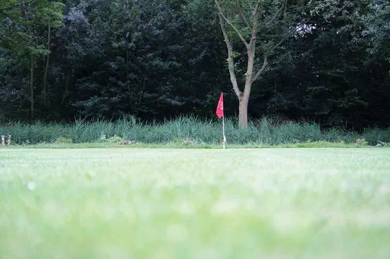 Green Fee Netherlands